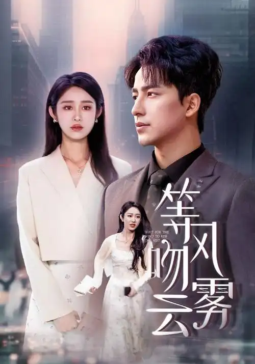 长街灯火 热播电视剧全集免费观看